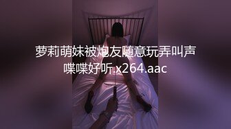 钛合金TiTi NO.059 女仆小玉