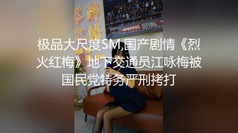 【厕拍新品】丝高新品正式版12，KTV+商场女厕全景5人次，高颜值红衣黑内小姐姐尿尿入镜10分钟，黑衣小妹蹲姿有趣[高清原码无损版]5V (1)