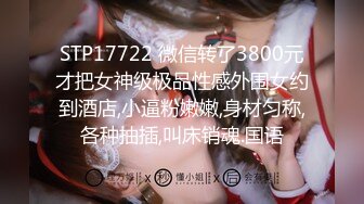 STP26406 酒店约炮出来赚奶粉钱的兼职孕妇自称还会看相 VIP0600