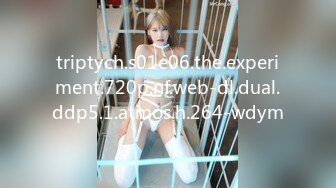 triptych.s01e06.the.experiment.720p.nf.web-dl.dual.ddp5.1.atmos.h.264-wdym