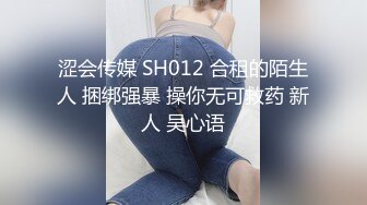 涩会传媒 SH012 合租的陌生人 捆绑强暴 操你无可救药 新人 吴心语