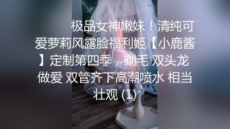 丝袜高跟美人妻被我狠狠操2