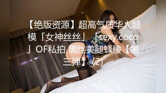 【绝版资源】超高气质华人腿模「女神丝丝」「sexy.coco」OF私拍 黑丝美腿蜂腰【第三弹】 (2)