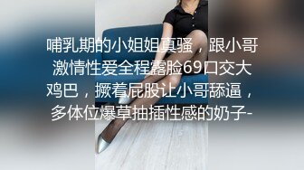 LJ极品地铁高清CD系列20部合集 (13)