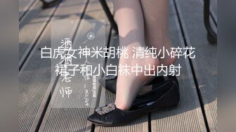 麻豆導演系列-女室友的性癖好官网