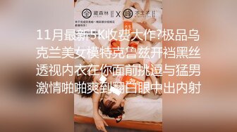 女友的姊姊用巨乳和内射诱惑我 小泉日向