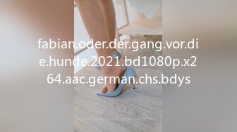 fabian.oder.der.gang.vor.die.hunde.2021.bd1080p.x264.aac.german.chs.bdys