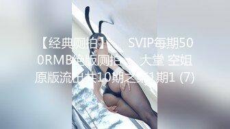 【经典厕拍】✅✅SVIP每期500RMB绝版厕拍❤️大堂 空姐原版流出共10期之第1期1 (7)