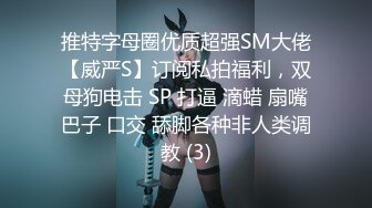 毕业五年后，被原本教导的学生变成了一个泼妇玩弄。椎木久留美