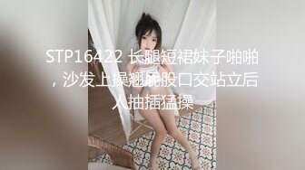 按摩完回酒店叫了个长腿少妇，包臀裙高跟鞋蹲着深喉口交，抬起双腿大力抽插猛操