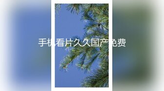 【蜜桃传媒】空姐的淫乱秘密-雷梦娜