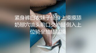 星空传媒XKVP58手握偷拍明星视频威胁她成为我母狗