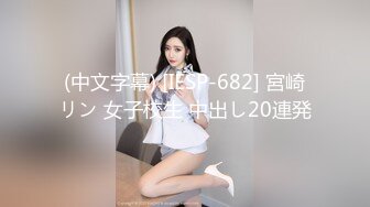    [中文字幕] ADN-505 與女友的姐姐有關係半年，每次見面都會進行中出。長谷川夕奈