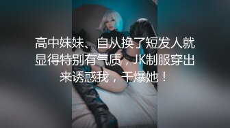 大像传媒之家政婦阿姨短裙的誘惑