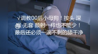 女仆娃娃 厅主人的话的人偶