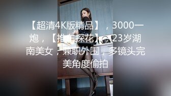 【超清4K版精品】，3000一炮，【推车探花】，23岁湖南美女，兼职外围，多镜头完美角度偷拍