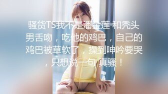 青春校园学生妹欢乐大乱斗