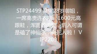 STP24499 高挑28岁御姐，一席高贵连衣裙，1600元高跟鞋，浑圆的肉臀，后入可谓是磕了神仙水，爽死人啦！ VIP2209