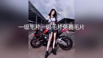 [2DF2] 平安夜美妞陪我一起嗨~完美身材[BT种子]