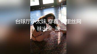 【JD064】嫦娥奔月.但愿人长久.千里共婵娟