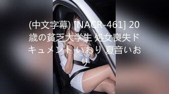 028，爱姐爱上位