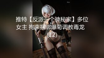 推特【反派一个神秘家】多位女主 拘束捆绑爆菊调教毒龙  (12)