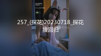 极品少妇自拍