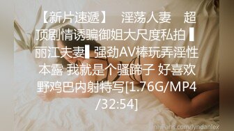 0452黑龙江齐齐哈尔，手势验证