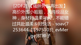 [2DF2] 【骚胖外围再出发】高价外围小姐姐，清纯极品女神，身材好温柔可人，不能错过共赴温柔乡好快活 - soav(7253644-15975103)_evMerge[BT种子