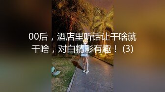 申精！后入淫荡小母狗，高跟丝袜大蜜臀