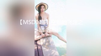 【MSD038】空姐的飞淫之旅 奢靡篇