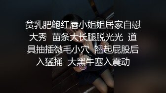 麻豆传媒最新MSD-032少女恶梦父债肉偿的灰姑娘新人出道空灵女神-陶白白