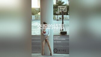 长春，探探97妹子，无套输出