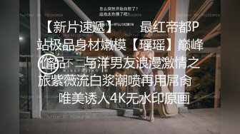 【大象传媒】dh-13 指令性爱传媒 完全被控制的玩弄纪实