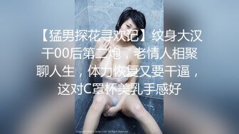 新FC2-PPV- 4458164 大奶女友鲍鱼粉嫩，嫩出水操到高潮