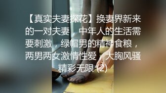 背德鸡尾酒～女教师的肛闷