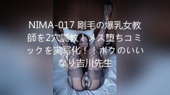    IPX-729 敬啟者「我睡走大嫂了。」 我的大嫂真實一面、  岬奈奈美[中文字幕]