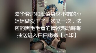 [2DF2] 清秀文静小姐姐，身姿曼妙美乳翘臀[BT种子]