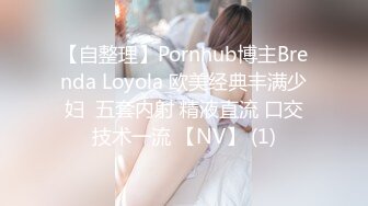 女搜查官特殊手段