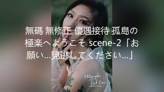 無碼 無修正 優遇接待 孤島の極楽へようこそ scene-2「お願い…見逃してください…」