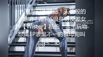 ❤️最新订阅精品！天使般的小姐姐！推特S级身材反差女神【Wister】私拍，金主玩物怼操3P表里不一的骚母狗叫声一绝